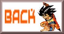 dragonballzback.jpg (4411 bytes)