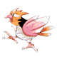 Image Content