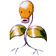Image Content