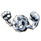 Image Content