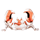Image Content