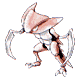 Image Content