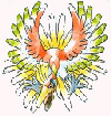 Image Content