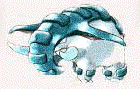 Image Content